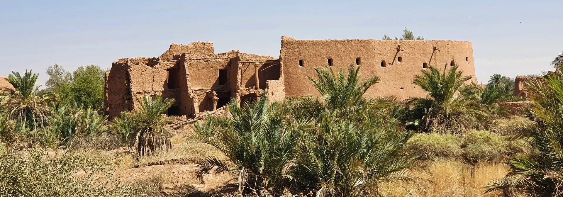 A view of the Ashayqer (Ushaiger) Heritage Village in Najd, Saudi Arabia: tall mud-brick houses with crenellated parapets, one intact and one collapsed revealing its wooden roof beams, with date palms and dry brush in front under a clear blue sky